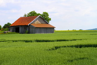 怎么建柑橘園(怎么建柑橘園最好)