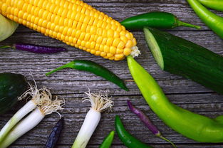 沃柑膨大快肥料有哪些品牌(沃柑膨果肥什么時候施)