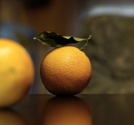 橘子可以用保鮮膜保存嗎(桔子用保鮮膜封好能保存嗎)