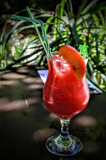 柑桔子皮有哪些功效(柑橘皮有什么功效)