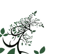 柑橘修剪及病蟲害防治方案(柑桔子樹修剪防護病蟲)