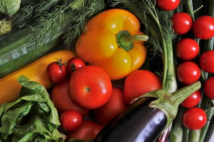 怎樣才能種出皮薄高品質(zhì)柑橘(怎樣才能種出皮薄高品質(zhì)柑橘呢)