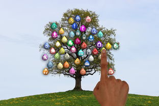 脆皮金桔樹怎么養(yǎng)護(脆皮金桔養(yǎng)殖方法)