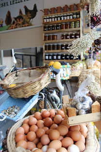 柑橘商品有機肥應施多少斤(柑橘專用有機肥料)