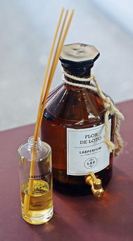 柑橘香味香水有哪些牌子(好聞的柑橘調香水)