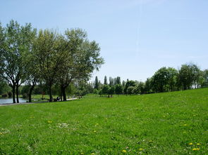 忠縣地區柑橘種植技術（忠縣柑橘基地）