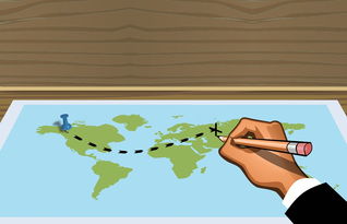 柑橘新嫁接法高效培育技術及田間應用創(chuàng)新解析