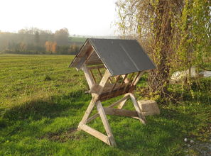 務川縣柑橘苗木：綠色培育助力鄉村振興，打造黔北特色產業品牌