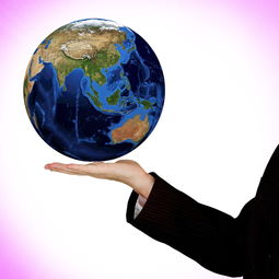 廣西武鳴沃柑苗出售直播：優(yōu)質(zhì)果苗基地直供，在線下單即享種植指導(dǎo)