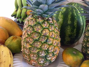 愛媛38號柑橘苗直徑3公分價格解析:2023年產(chǎn)地批發(fā)報價與選購指南