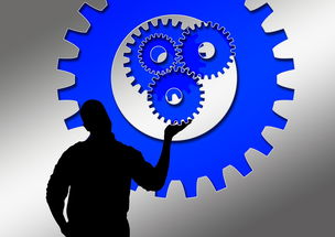 柑橘嫁接時間方法全解析：掌握最佳時機與實用操作技巧