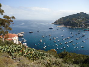 中國柑橘分布地區:主要產區及地域特征解析