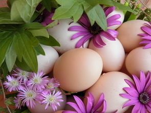 45月早熟柑橘樹苗怎么養護?春季管理技巧與注意事項全解析