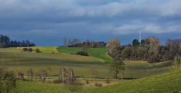 柑橘果樹新芽視頻素材橫屏-4K高清實拍春季田園新芽生長與農業技術自然景觀