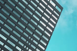 東洋光柑橘市場前景如何?深度解析消費趨勢與投資潛力分析