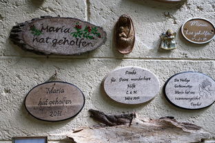 耙耙柑眉山今日價格行情速遞及市場動態分析