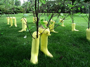 【抖音爆款來襲】愛媛果凍橙團(tuán)購特惠！爆汁甜蜜新鮮直達(dá)，手慢無！