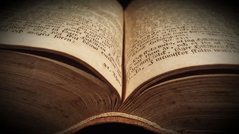 柑橘防倒春寒方法全解析:科學應對早春寒潮的實用指南