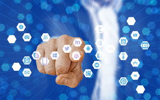 2023年川津一號枝條價格表最新發(fā)布及市場行情分析