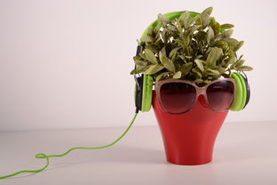 中國柑橘栽培技術大全：現代高效種植與病蟲害防治實戰指南