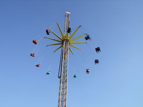 耙耙柑好吃嗎？真實口感測評告訴你答案！