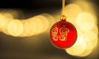 東洋光柑橘果肉：揭秘天然果香與陽光滋養的黃金配比