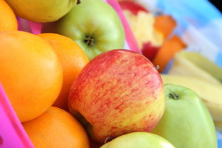 柑橘脫毒苗怎么培育出來？詳細步驟與技術要點解析