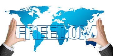 中國柑橘出口現狀、問題及策