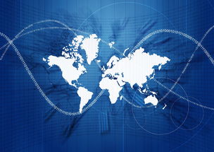 明日見柑橘品種介紹:特性、栽培要點與市場價值解析