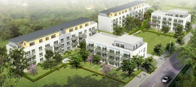 耙耙柑怎么念？正確發(fā)音指南與常見讀法誤區(qū)解析