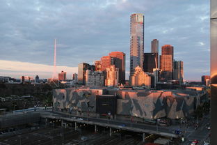 2024年最新行情：柑橘多少錢一斤價？各地市場價格走勢解析