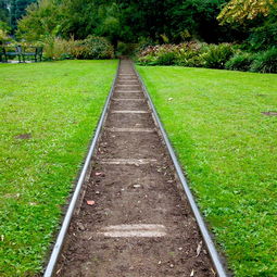 柑橘脫毒苗培育技術方法的關鍵創新與實踐應用路徑研究