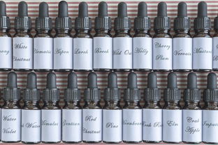 柑橘用什么肥料最好？不同生長階段科學施肥方案全解析