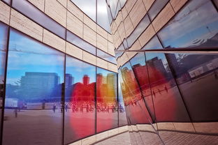 柑橘未來爆款：揭秘千億市場新風口與消費升級新機遇