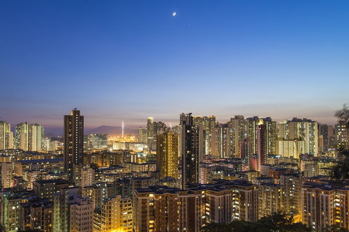 沃柑怎樣管理才好（沃柑采收后怎么管理）