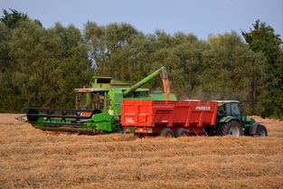 中國(guó)農(nóng)科院柑橘研究所2024錄取政策解析與報(bào)考指南發(fā)布