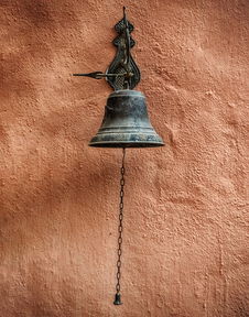 沃柑今日行情十七號最新：價格走勢及市場供需動態(tài)解析