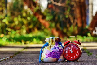 佛手柑怎么養(yǎng)要每天澆水嗎？正確澆水頻率與養(yǎng)護(hù)技巧詳解