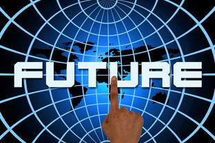 好景8號柑橘市場前景深度解析：未來供需趨勢與投資機遇展望