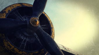 柑橘新聞最新消息：行業動態與政策速覽