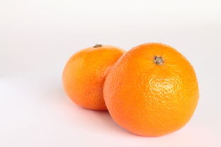 柑橘春季植保農(nóng)藥（柑橘全程植保技術方案）