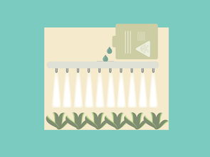 柑橘木虱防治用藥全攻略：科學選藥與高效施藥技巧