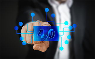 某縣關柑橘產業發展現狀與市場前景調查報告范文