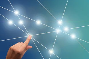 南瓜柑甜度多少？果農(nóng)實(shí)測(cè)與科學(xué)檢測(cè)數(shù)據(jù)深度解析