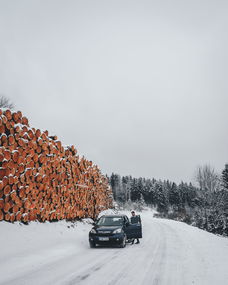柑橘樹怕霜凍？科學應對寒冬防護指南