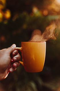 小柑胎怎么泡茶（小柑胎是什么茶）