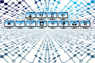 2024川津五號苗高接技術(shù)解析：嫁接要點與高產(chǎn)栽培指南