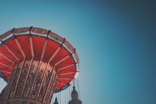 廣西柑橘價格最新行情：產銷動態與價格走勢深度解析