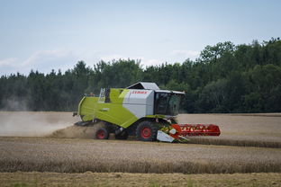 豐收碩果助力鄉村振興：柑橘鄉小滿團隊的助農創新之路