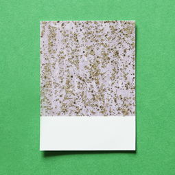 直擊紅美人柑橘樹苗基地直播:實地探秘珍稀果苗培育全過程